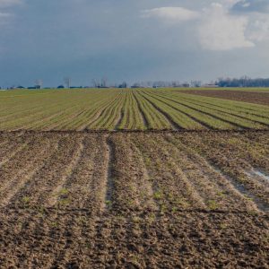 RESERVA DE PLAZA. CURSO DE ESPECIALIZACIÓN EN VALORACIÓN Y TASACIÓN DE FINCAS RÚSTICAS